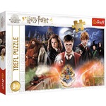 Puzzle 300 elementów Tajemniczy Harry Potter