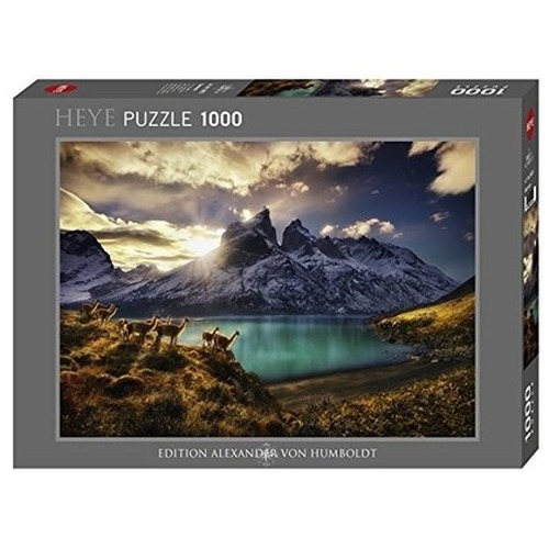 1000 elementów Chile, lamy Guanaki