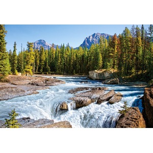 1500 EL. JASPER NAT.PARK, CANADA CASTOR