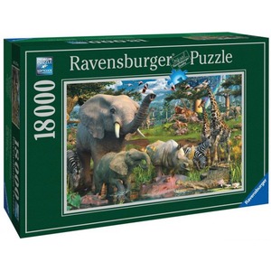 18000 EL. PENFOUND: PRZY WODOPOJU Ravensburger