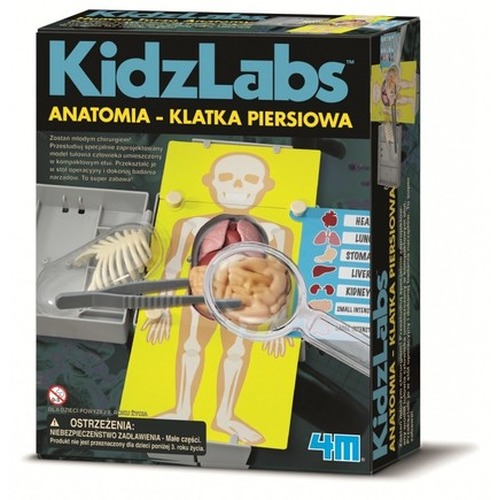 Anatomia klatka piersiowa