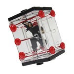 Brainstring Houdini - łamigłówka Recent Toys - poziom 2,5/5