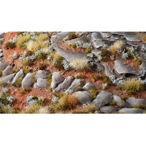 Gamers Grass: Forget-me-not Tiny Flowers