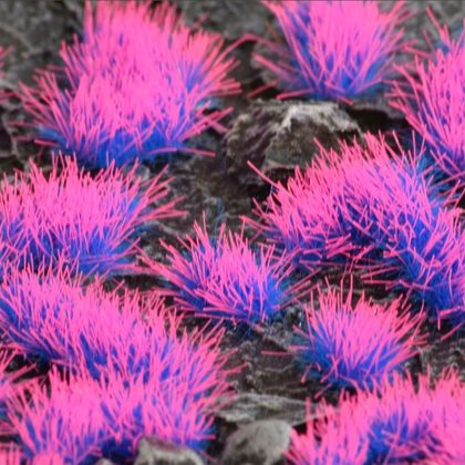 Gamers Grass: Special tufts - 4 mm - Alien Neon (Wild)