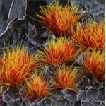Gamers Grass: Special tufts - 6 mm - Alien Fire Tuft (Wild)