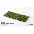 Gamers Grass: Strong Green Shrubs