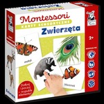Karty sensoryczne Montessori Zwierzęta Kapitan Nauka
