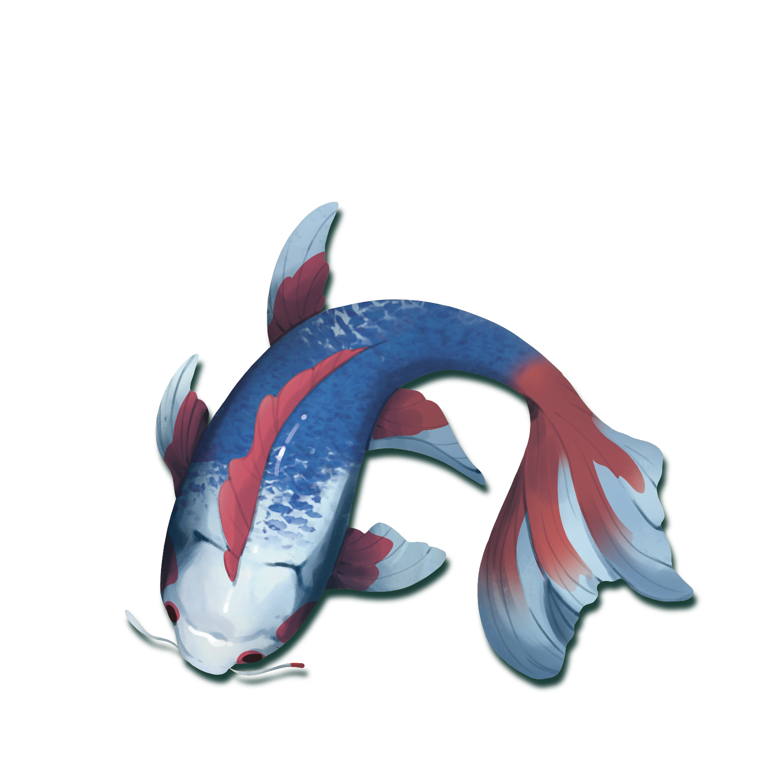 Koi (edycja polska)