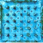 Magiczny labirynt (edycja polska)