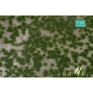 MiniNatur: Dwukolorowe letnie tufty 2 (42x15 cm)