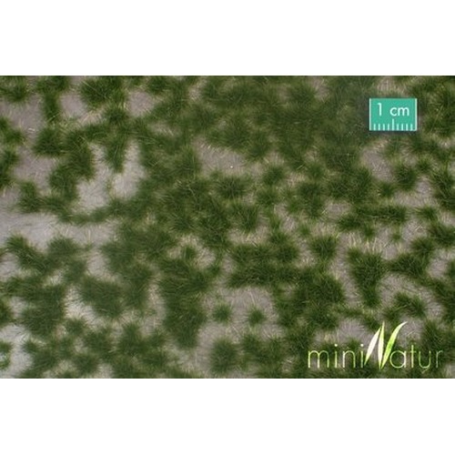 MiniNatur: Dwukolorowe letnie tufty 2 (42x15 cm)