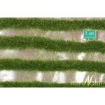 MiniNatur: Dwukolorowe paski letniej trawy 252 cm