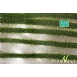 MiniNatur: Dwukolorowe paski letniej trawy 336 cm