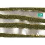 MiniNatur: Dwukolorowe paski wczesnojesiennej trawy 252 cm