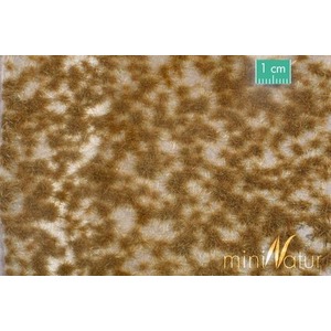 MiniNatur: Dwukolorowe późnojesienne tufty 2 (42x15 cm)