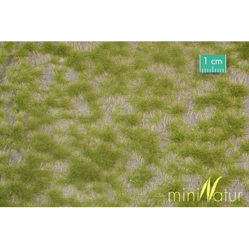 MiniNatur: Dwukolorowe wiosenne tufty 2 (42x15 cm)