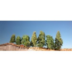 MiniNatur: Filigranowy krzew letni 11cm (1 szt)