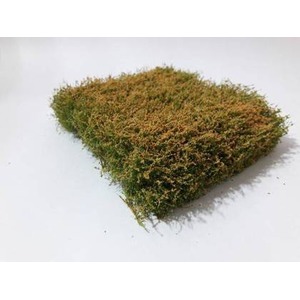 MiniNatur: Kwitnący na pomarańczowo żywopłot (12x14 cm)