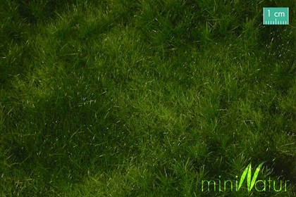MiniNatur: Letnia żyzna łąka (30x50 cm)
