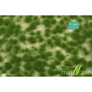 MiniNatur: Tuft - Długa letnia trawa 1 (15x4 cm)