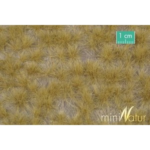 MiniNatur: Tuft - Długa późnojesienna trawa 1 (42x15 cm)