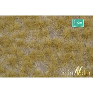 MiniNatur: Tuft - Długa późnojesienna trawa 12 mm (8x15 cm)