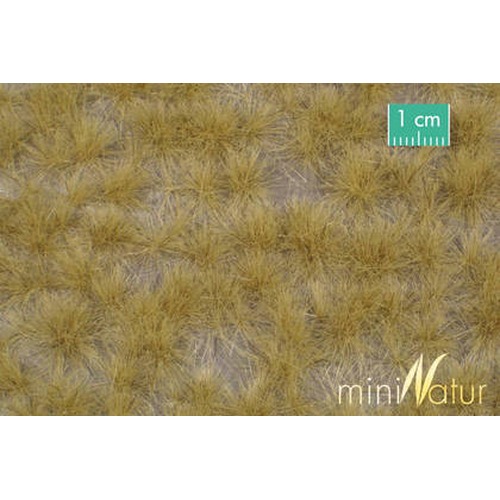 MiniNatur: Tuft - Długa późnojesienna trawa 12 mm (8x15 cm)