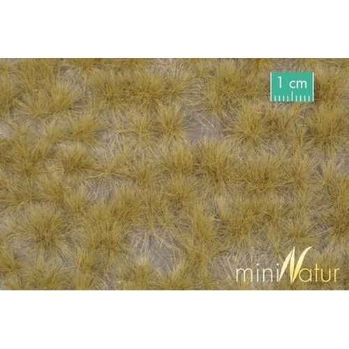 MiniNatur: Tuft - Długa późnojesienna trawa 2 (42x15 cm)