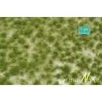 MiniNatur: Tuft - Długa wczesnojesienna trawa 1 (15x4 cm)