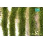 MiniNatur: Tuft - Długa wczesnojesienna trawa w paskach 252 cm
