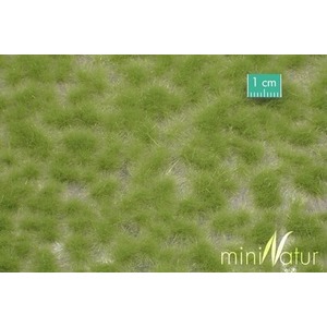 MiniNatur: Tuft - Długa wiosenna trawa 1 (15x4 cm)