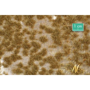MiniNatur: Tuft - Dwukolorowa późnojesienna trawa (42x15 cm)