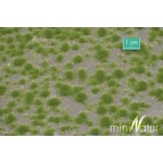 MiniNatur: Tuft - Krótka wiosenna trawa (15x4 cm)