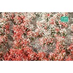 MiniNatur: Tuft - Letnia kwitnąca roślinność 1 (15x4 cm)