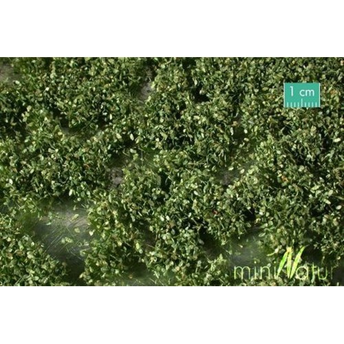 MiniNatur: Tuft - Letnie chwasty 1 (42x15 cm)