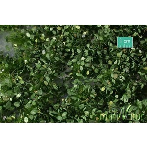 MiniNatur: Tuft - Letnie chwasty 2 (42x15 cm)