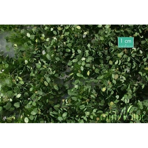 MiniNatur: Tuft - Letnie chwasty 2 (42x15 cm)