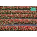MiniNatur: Tuft - Paski kwitnących czerwonych roślin 336 cm