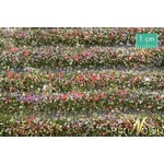 MiniNatur: Tuft - Paski kwitnących kolorowych roślin 67 cm
