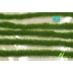 MiniNatur: Tuft - Paski letniej trawy (15x4 cm)