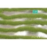 MiniNatur: Tuft - Paski wiosennej trawy (15x4 cm)