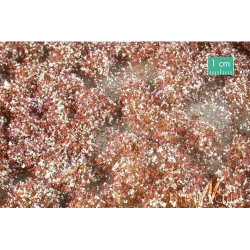 MiniNatur: Tuft - Późnojesienna kwitnąca roślinność 1 (42x15 cm)