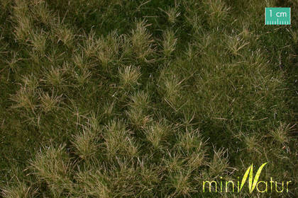 MiniNatur: Wczesnojesienna żyzna łąka (30x50 cm)