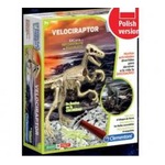 Naukowa zabawa Skamieniałości - Welociraptor