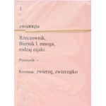 ORTOGRAFIA II