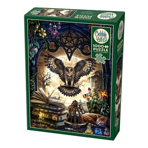 Puzzle 1000 Biurko alchemika 113041