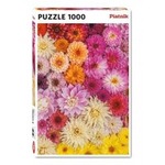 Puzzle 1000 - Dalie PIATNIK