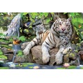 Puzzle 1000 el. Białe tygrysy bengalskie
