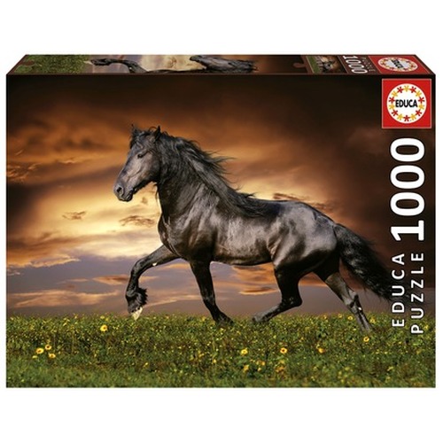Puzzle 1000 el. Kłusujący koń