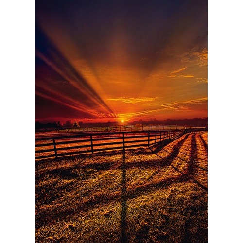 Puzzle 1000 el. PHIL KOCH Wieczorna cisza